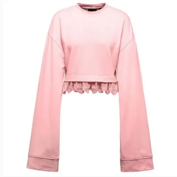 《 Fenty 》Mesh & Lace Cropped Sweatshirt - Picture 3 of 12